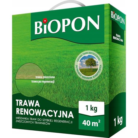 Gazon de rénovation 1 KG - BR BIO-1114