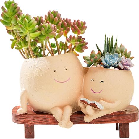 Pot de Fleurs avec Smiley Pot pour Plantes succulentes Pots décoratifs pour l intérieur Trous Drainage Cadeaux créatifs Amusants (1/4)
