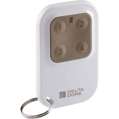 Télécommande porte-clé pour automatismes – Émetteur mural 1 canal – Alimentation par batterie – Compatible avec motorisations DELTA DORE