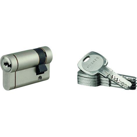 THIRARD - Lot de 10 demi-cylindres Transit 1, 40x10mm, nickelé, 5 clés - THIRARD