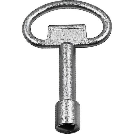 Clé triangulaire pour armoire électrique, ascenseur, vanne de compteur d'eau (argentée) (1 pièce) (1/5)