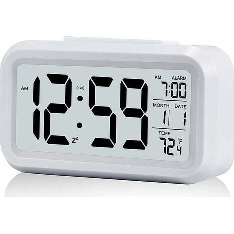 Accessoires Détecteur de Métaux : Pelle Râteau ABS avec Échelle pour Fouille et Remplacement