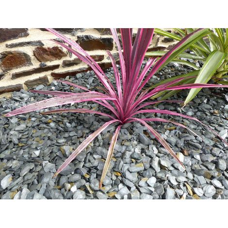 Paillage Ardoise GRIS  10-30  Pack 13 m² - 31 sacs - 775 kg