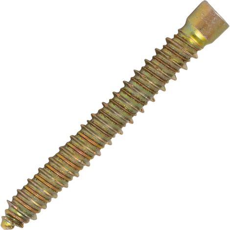 Box 50 Direktbefestigungsschrauben RX 7.5x100 mm SCELL-IT - Feiner Rundkopf - Innensechskant - RX100 (1/2)