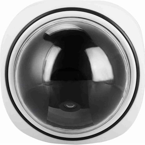 Caméra de surveillance dôme sans fil factice pour intérieur et extérieur (1/5)