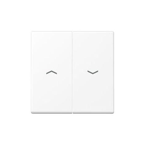 TOUCHE DOUBLE VOLET A BLANC MAT (RÉFÉRENCE : JUNG A595PWWM) (1/2)