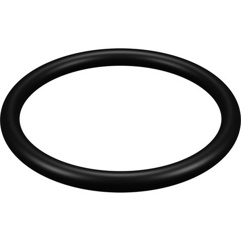 Joint pour écrou de serrage de filtre Hayward ® Star Clear