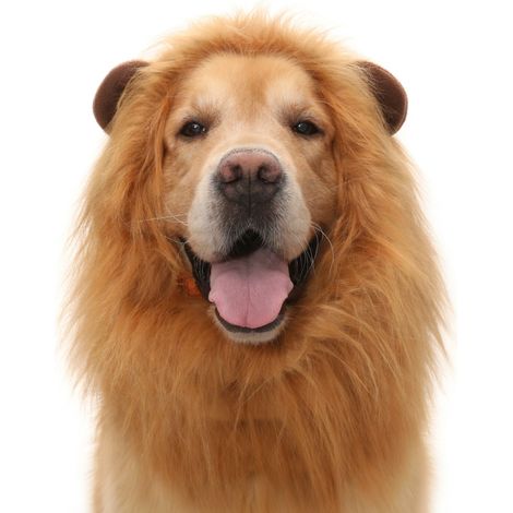 Disfraz de león para mascotas marrón M x 3 modelo 5