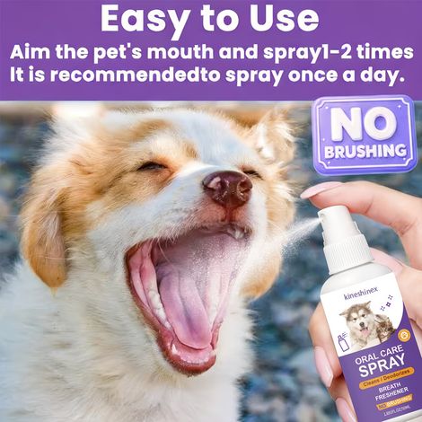 KineShineX Zahnreinigungsspray für Haustiere – Beseitigt Mundgeruch, entfernt Zahnstein, erfrischt den Atem (Spray für Haustiere) (1/5)