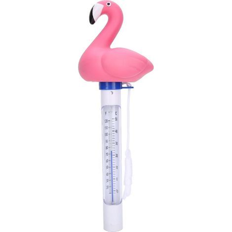 Floating pool thermometer with lanyard, cartoon design, for measuring water temperature in pools, spas, hot tubs and aquariums - AquaForge (1/5)