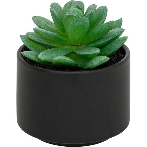 Plante grasse en pot H13 - Atmosphera créateur d'intérieur