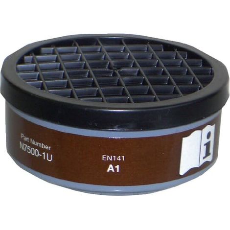 Filtre à gaz HONEYWELL N06575001L