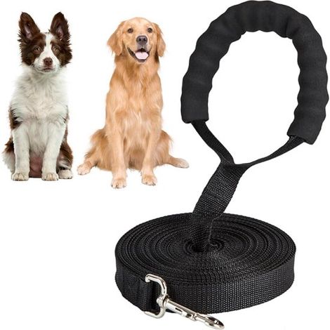 Allecto Plus – Strapazierfähige Nylon-Hundeleine 15 m mit gepolstertem Griff – Ideal für Spaziergänge – Für kleine und große Hunde (1/5)