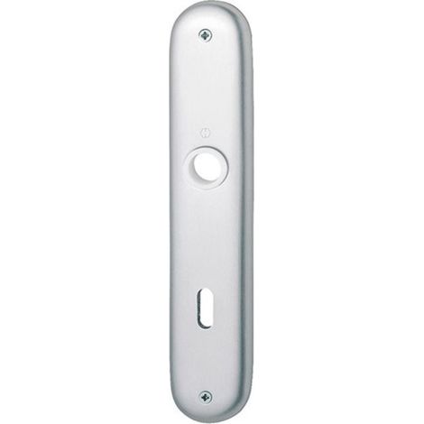 Coppia di lastre lunghe 273P F1/naturf.F1 BB 72mm (1/4)