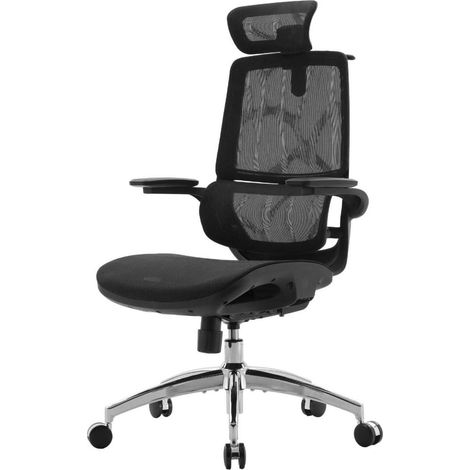 Ergonomischer Bürostuhl 3D Armlehnen Doppelsitzlehnen Mesh Schwarz (1/5)