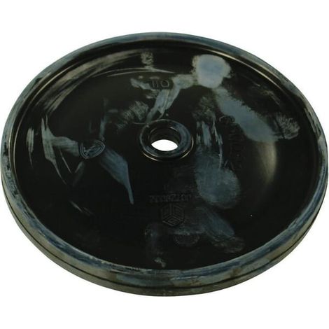 Membrane ANNOVI REVERBERI 650082