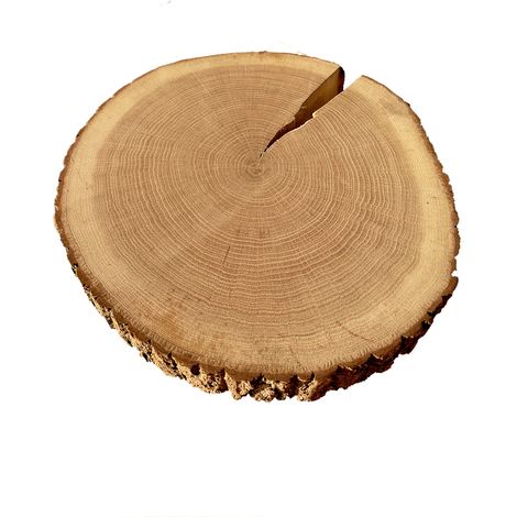 Disque en Chêne Rustique, Ø 35 cm, Ep.40 mm (1/5)