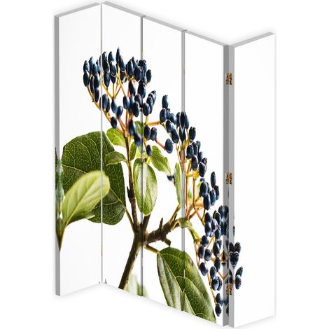 Paravento bilaterale 360, Sambuco nero - 180x170 (1/5)