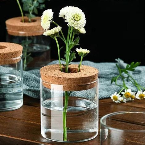 Hydroponik-Pflanzflasche, Mini-Hydroponik-Pflanzvase
