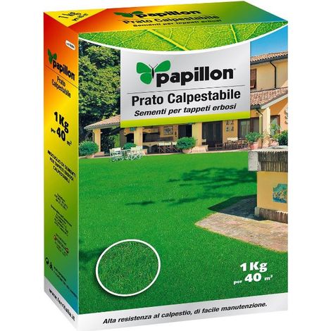 PAPILLON semillas cesped alta resistencia 1 kg. , Semillas Cesped Alta Resistencia - Medida: 1 Kg.- Valido para hasta 40 m2.- Césped transitable: Mezcla preparada