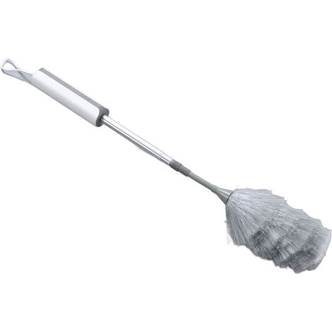 Plumeau électrique portatif sans fil rechargeable, brosse de nettoyage pour salon, chambre et bureau (1/5)