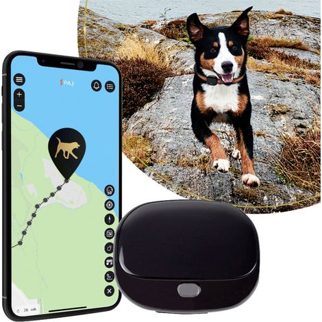 PAJ GPS PET Finder 4G 2.0 Black GSM-Tracker 1 St.