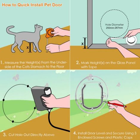 Porte à chatière Chatière porte 4 voies verrouillage chat portes petite porte pour animaux de animalerie plumeuse (1/4)