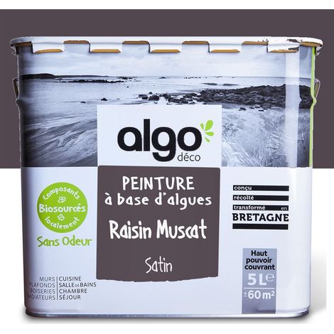Peinture écologique Algo - Satin - Violet Raisin Muscat - 5L (1/5)
