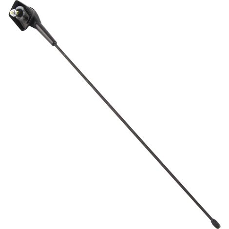 Antenne Radio FM AM en Caoutchouc pour Peugeot 205 206 306 307 309 406 806 - Remplacement de Mât Antenne (1/5)