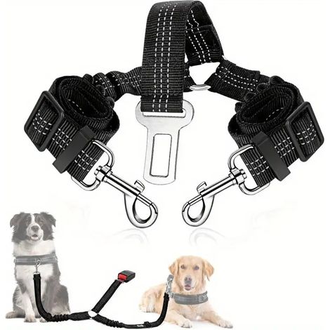 Laisse pour chien – Corde nylon ultra-durable – Poignée rembourrée ergonomique – Fermoir pivotant pour contrôle optimal（97cm） (1/4)
