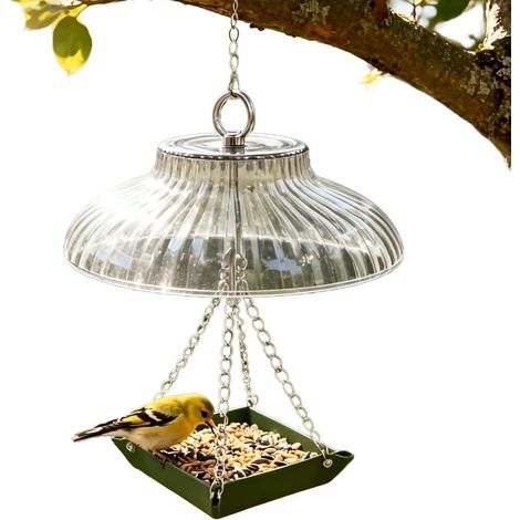 Mangeoire à colibris pour extérieur Anti-écureuils résistant aux  Mangeoire extérieure anti-fourmis pour oiseaux Pour terrasse patio cour balcon rambarde véranda fenêtre a (1/5)