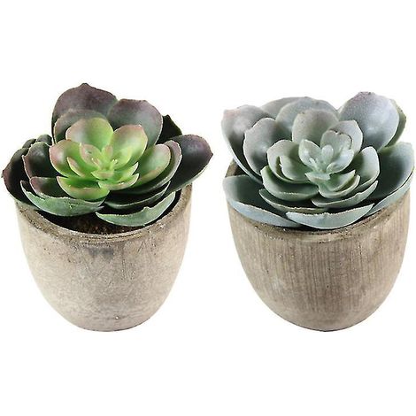 2 fausses plantes succulentes