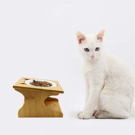 Hoher Katzen- und Welpennapf. Schräger Napf für Katze und Hund mit Holzständer (1/5)