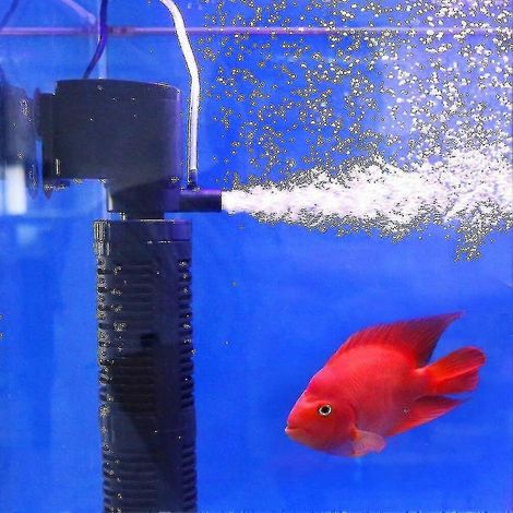 Purificateur d'eau silencieux 3 en 1 avec pompe d'aération interne, filtre d'aquarium submersible et pompe à oxygène. - AquaForge (1/4)
