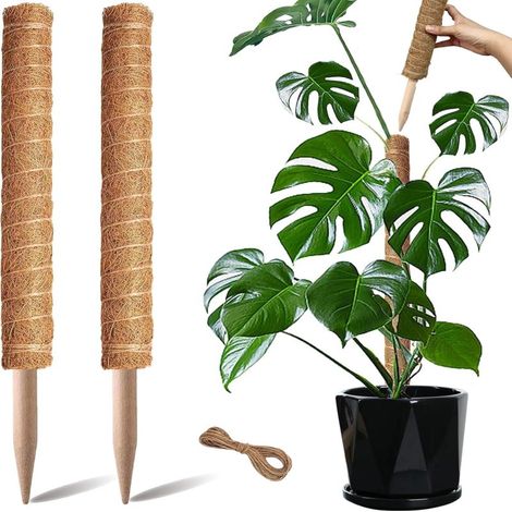 Lot de 2 tuteurs empilables de 43 cm (17 pouces) en fibre de coco brune, pour plantes grimpantes d'intérieur, supports pour plantes en pot. (1/5)