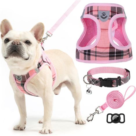 Harnais et Laisse pour Chiot - Collier et Laisse pour Petit Chien - Harnais Classique réglable Anti-Traction - Anti-Fuite - pour Promenade en Plein air - Rose - Taille XS (1/5)