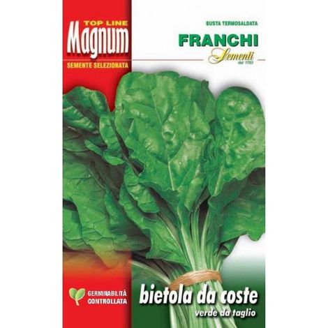 SEMI DI BIETOLA DA COSTE VERDE DA TAGLIO FRANCHI SEMENTI