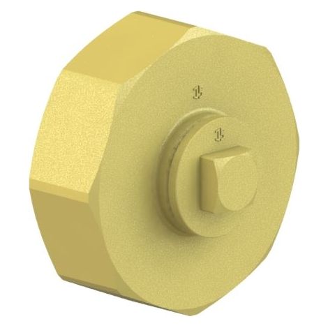 Bouchon de terminaison JS droit, alimentation en eau à gauche, 1 3/4", raccord 1 1/2" fileté (1/2)