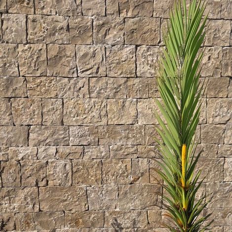 Parement Pierre Naturelle Cahors Clair Barrette - Couche 1m² - Ti'ma Stone (1/2)