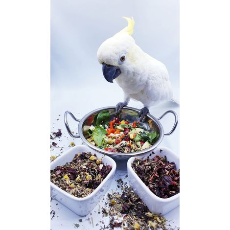 Polly's Nature Boost - Tè biologico per pappagalli 50 g (1/5)
