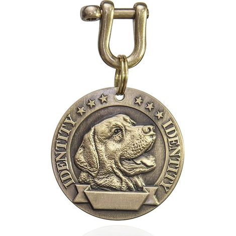 Médaille D'identification En Laiton En Forme De Tête D'animal Domestique, Médaille Pour Chien Et Chat, Jusqu'à 5 Lignes De Texte Personnalisé, Anti-Perte, 1 Pièce (A-Labrador Retriever)