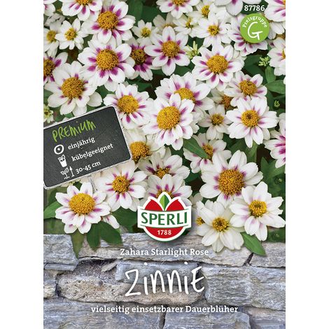 Sperli Zinnien Zahara Starlight Rose - Blumensamen (1/2)