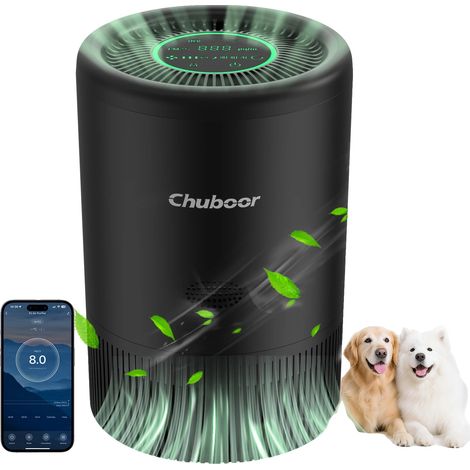 Purificateur d'air, filtre HEPA H13, fonctionnement ultra-silencieux, Noir-wifi, 2.5kg-a (1/2)
