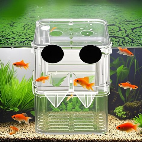 Boîte d'élevage pour poissons en aquarium, pondoir isolant multifonction pour alevins et poissons malades