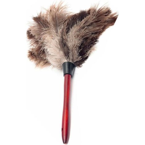 Brosse à plumeau en plumes d'autruche naturelles avec manche en bois, outil de nettoyage pratique pour la maison et les meubles (1/5)
