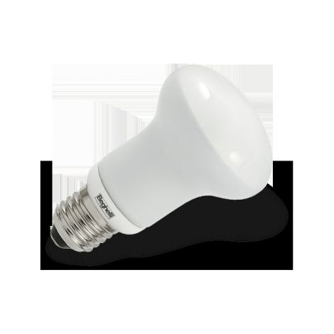 Lampada R80 11W 230V E27 luce fredda 6500K per plafoniere grandiBEG50446
