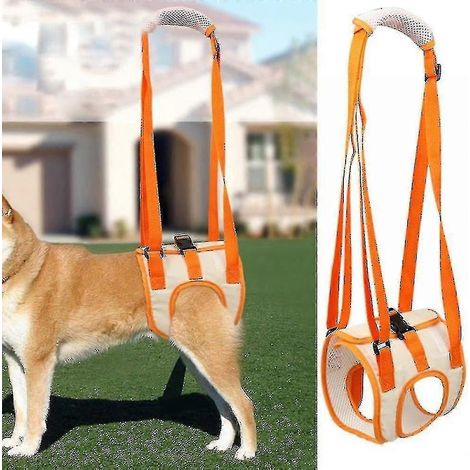 Harnais de levage et de soutien arrière pour chien : aide les chiens souffrant de blessures, d'arthrite, de problèmes de pattes arrière, de handicap, pour la rééducation et la marche des animaux de co (1/5)