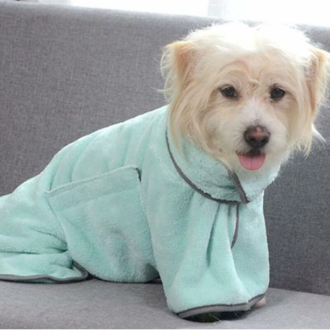 Asciugamano per cani, asciugamano ad asciugatura rapida, asciugamano morbido per cani, accappatoio per cani, accessori per il bagno dei cani (1/5)