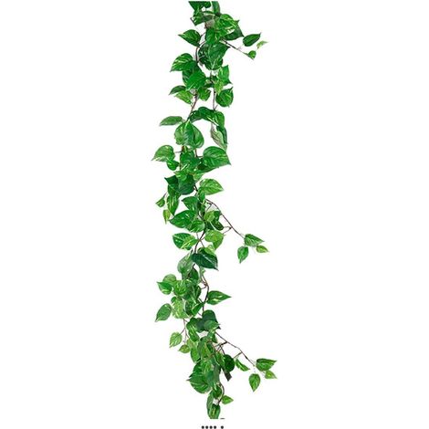 Guirlande de feuillage de Pothos panaché artificiel, L 125 cm (1/2)