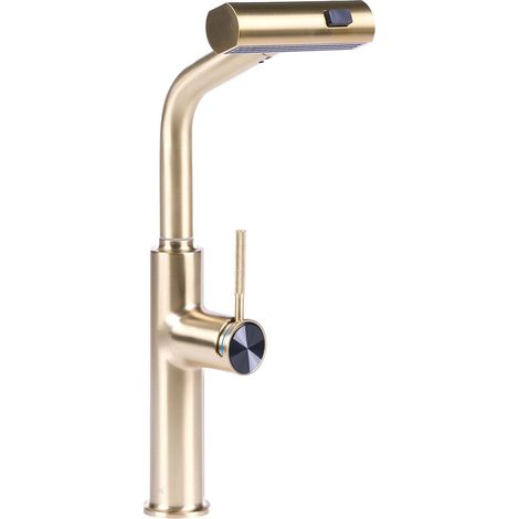 Kitchen Tap Gold Stainless Steel Swing and Pull Out Mixer Faucet Aerator Flexible Spring Hose Modern PEGUCHE (1/5)